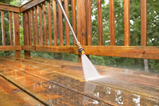 Best Residential Pressure Washing Services  in Eunice, NM